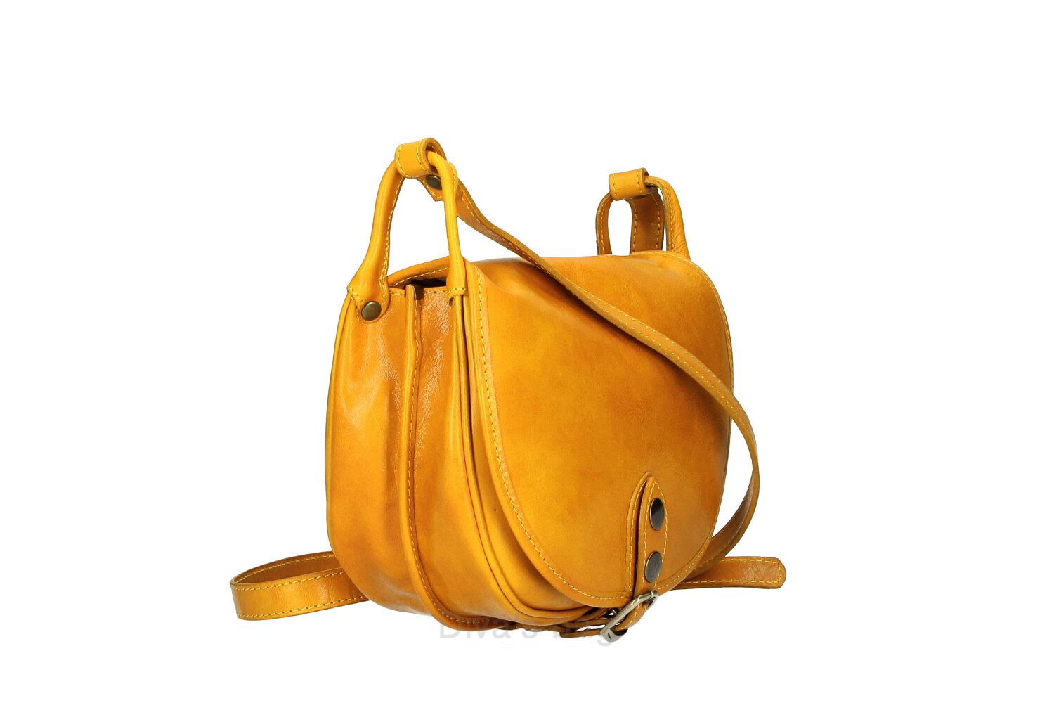 Paola Leather Messenger Bag