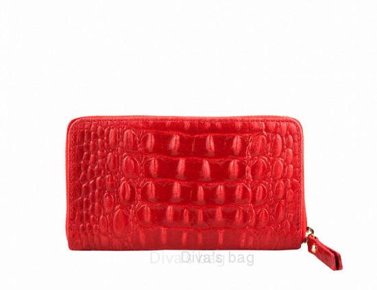 Pina - Accessories 